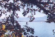 Richterswil, Lake Z&uuml;rich