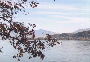 Richterswil, Lake Z&uuml;rich