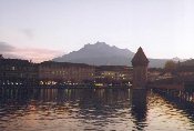 Lucern